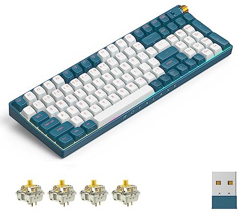 ROYALAXE Teclado mecánico inalámbrico R100, interruptor amarillo, Gateron G Pro 3.0, cable de intercambio en caliente/Bluetooth/2.4G, teclado inalámbrico con luz RGB, para Windows y Mac, teclas PBT