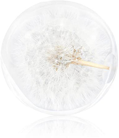 Kristallkugel, Pusteblumen-Briefbeschwerer, Traumball, einzigartiger Briefbeschwerer aus Kunstharz, Geschenke für Kinder und Freunde, Pusteblumen-Briefbeschwerer, Kugel, Glas, Briefbeschwerer, Kristal