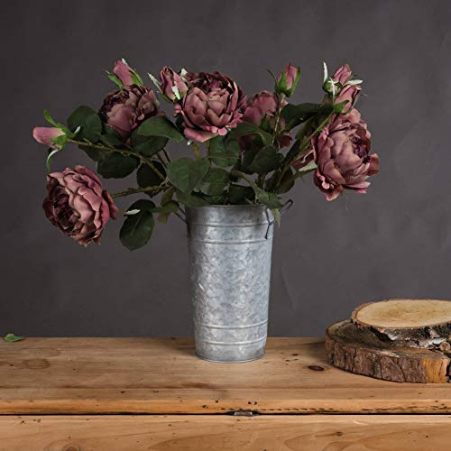 The Recipe Dusty Pink Spray Rose Peony