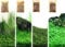 4 Pack Aquarium Plant S.e.e.ds, no Artificial Plastic Plant, Fish Tank Live Grass for All Substrate (0.36ozTiny+0.36oz Long+0.36oz Short+0.36oz Big Dual) ZQV-005