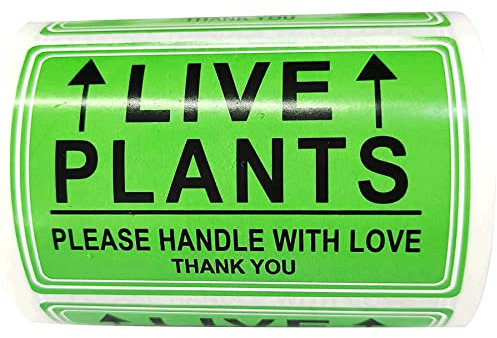 Aufkleber Live Plants Please Handle with Love, 5,1 x 7,6 cm, grüne Pflanzenaufkleber für den Versand zerbrechlicher Umgang mit Versand, Lager, Paletten-Aufkleber, 250 selbstklebende Etiketten