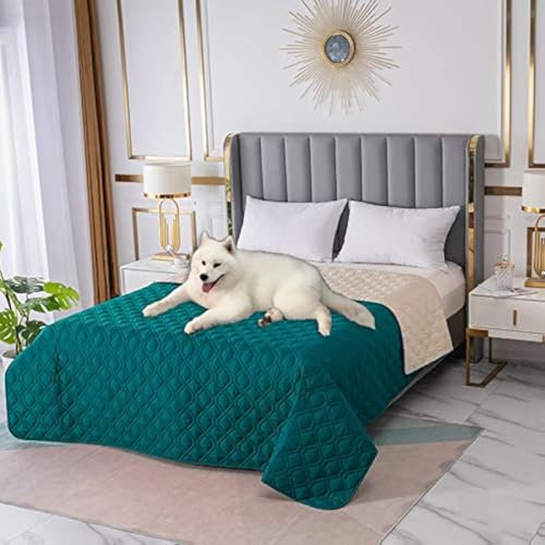 RBSC Home Coperta impermeabile per letto per cani, antiscivolo, grande divano, protezione per materasso per incontinenza, per animali domestici, cani e gatti (10282KQL)