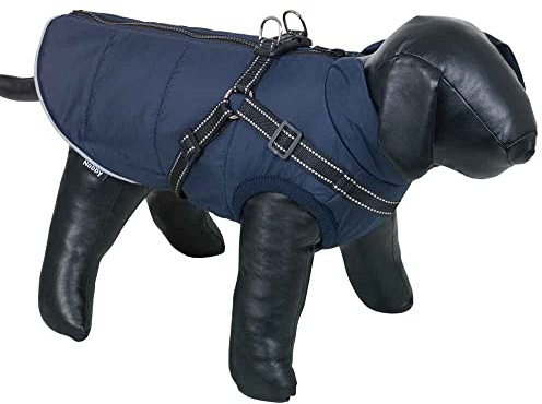 Nobby Hundemantel SALUS 2 in 1, blau, 40 cm, 1 Stück