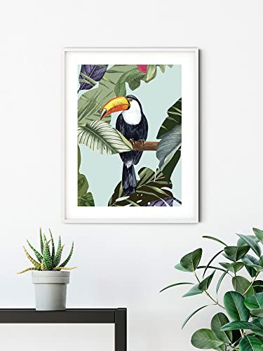 Komar Wandbild - Toco Toucan - Größe: 50 x 70 cm - Poster, Kunstdruck, Dekoration, Wohnzimmer, Schlafzimmer (ohne Rahmen)