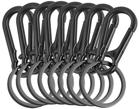 8 Stück Karabiner Schlüsselanhänger, Aus Zinklegierung Schlüsselanhänger Karabiner, Kleiner Karabinerhaken Schlüsselanhänger mit Karabiner mit Kunststoffbox für Schlüssel und Geldbörsen (Dunkelgrau)