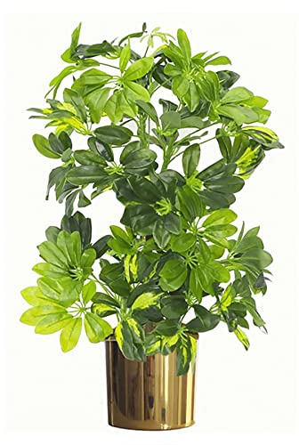 Botanik Artificial Office Plants