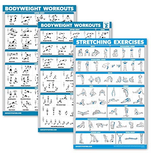 Palace Learning 3er-Pack: Bodyweight Workout Poster Band 1 & 2 + Stretching Exercises Poster Set – Set mit 3 Workout-Diagrammen (laminiert, 45,7 x 61 cm)