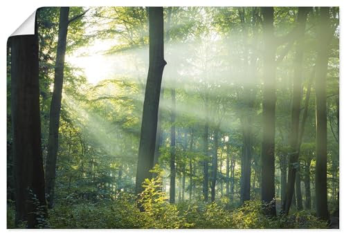 ARTLAND Wanddeko Poster & Kunstdrucke Wandposter 120x80 cm Querformat Landschaftsbilder Wald Natur Sonne Bäume Landhausstil U1VX