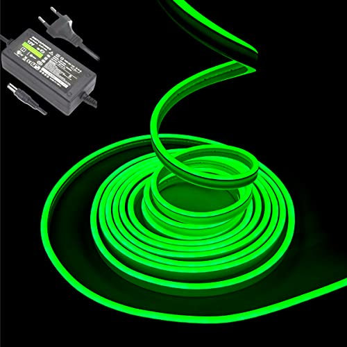 Balabaxer Grün Neon-LED-Streifenlichter, 16,4 Fuß/5 m 12 V DC 600 SMD2835 LEDs Wasserdichtes Lichtschlauch für Indoor Outdoor Home Decoration (mit Netzteil)