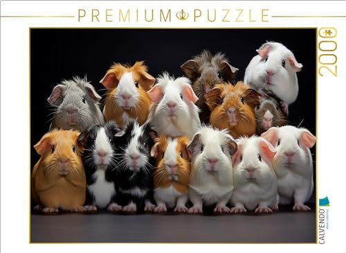 CALVENDO Puzzle viele Meerschweinchen übereinander | 2000 Teile Lege-Größe 90 x 67 cm Foto-Puzzle für glückliche Stunden
