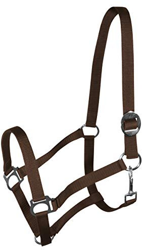 York Nylonhalfter Halfter Genickstück Verstellbar durch Schiebeschnalle Harmony Pferdehalfter (Pony, braun)