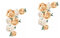 Gadpiparty 2 Blätter Pfingstrose Wandtattoo Wandtattoos Für Schlafzimmer Badezimmerdekor-wandkunstaufkleber Blumen Wandtattoos Reiben Auf Transfers Für Holz Pvc Kindergarten 3d Entfernbar