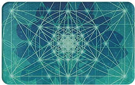 Entrance Doormat 40X60cm, Digital Tree Of Life Icon With Space Welcome Door Mat Durable Doormat Dirt Trapper Rug Mats For Indoor Hallway Patio
