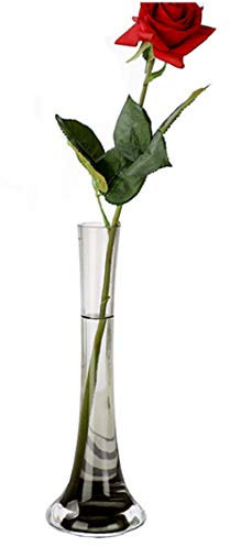 CIEEIN CIEHT Vase Vase en Verre La décoration Arrangement de Fleurs Bar Salon Réception de Mariage Gris fumée 25cm de Hauteur