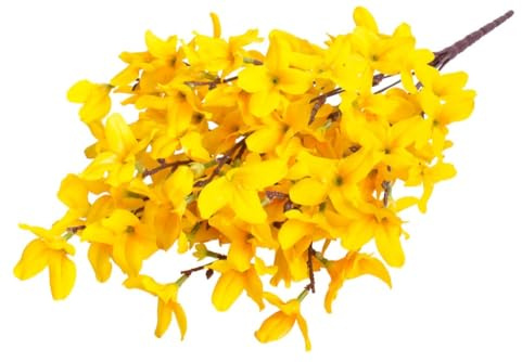 Botanic-Haus künstlicher Forsythienbusch (künstliche Forsythie) mit 10 Stielen, Farbe: gelb