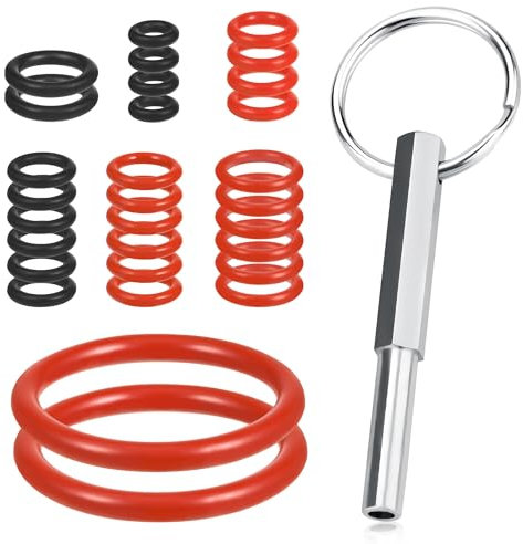 Dichtung O-Ringe für Philips, 31 Stück Ovalkopfschlüssel mit Schlüsselring Dichtungsringe Brühgruppe Set Wartungssatz für Supportventil Dampfventil Auslaufventil Kaffeevollautomat Ersatzteile