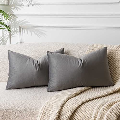 JUSPURBET Grau Lendenkissen Samt-Kissenbezüge 40cmx60cm 2er-Set für Wohnzimmer Couch Sofa Schlafzimmer Dekorative Rechteckig Feste Weiche Kissenhüllen mit unsichtbarem Reißverschluss