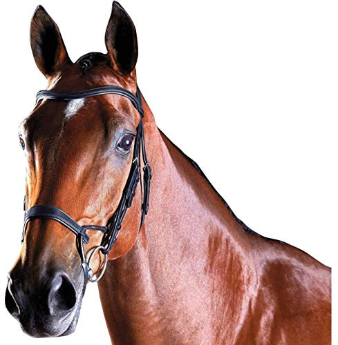Collegiate ComFiTec Training Bridle, Black, Pony