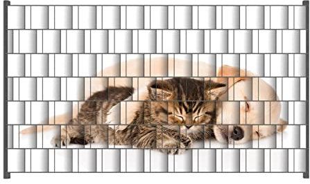 Wallario Zaun Sichtschutz Windschutz für EIN- und Doppelstabmattenzäune in der Größe Breite 2,50m x Höhe 1,40m, Motiv: Katze und Hund in Harmonie - Kuschelnde Tiere