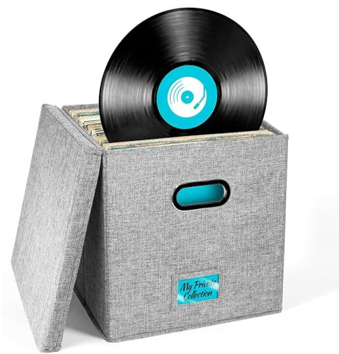 Generisch Schallplatten-Aufbewahrungsbox mit Deckel für über 50, 12-Zoll-, Schallplattenbox, LP-Album-Aufbewahrung