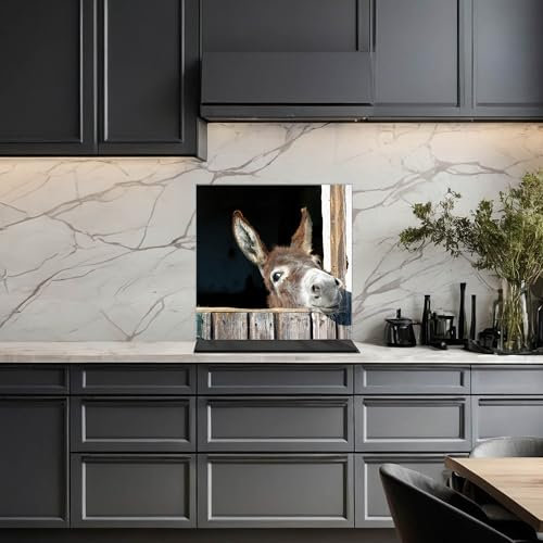 banjado Küchenrückwand Glas ohne Bohren 70x70cm – Glasrückwand Küche mit Motiv Nicki/Spritzschutz Küchenrückwand Glas/selbstklebende Küchenrückwand Platte - magnetisch & beschreibbar