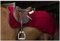 Nierendecke Teddy EquiTheme grün 125cm