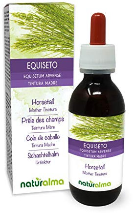 Equiseto o Coda cavallina (Equisetum arvense) erba Tintura Madre analcoolica Naturalma - Estratto liquido gocce 120 ml - Integratore alimentare - Vegano