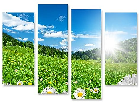Prime Bild auf Leinwand Margariten Wiese Sonne Tal Alpen Poster, Leinwandbild, Wandbilder