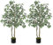 Arborus 2pcs Artificial Ficus Tree 4ft Large Indoor Plant Tall Fake Ficus Plant with Variegated Foliage Faux Tree in Black Pot House Plants for Living Room Bedroom Balcony Corner Office Decor