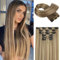 FLUFYMOOZ 6PC Clip in Hair Extensions, 6-teiliges Clip-in-Haarverlängerungsset, 61 cm, glatt, lang, Extensions für Frauen, synthetisches Haarteil (Braun mit blonden Highlights)