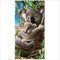 Zomer Strandtuch 70x140cm,Bedrucktes Mikrofaser Badetuch-Koala-Mutter & Kind