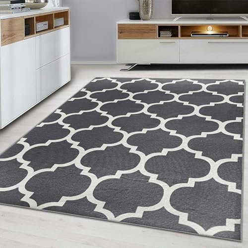 Hafaa Area Rugs Living Room - Small Rugs for Bedroom 60x110 Cm Non Shedding Modern Floor Carpet Trellis Style Durable Ava Grey Soft Rug for Dining Room