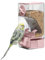 Automatischer Vogelfutterspender, Vogelkäfig-Futterspender mit Sitzstange für Wellensittiche, Sittiche, Kanarienvögel, Nymphensittiche, Finken (Rosa)