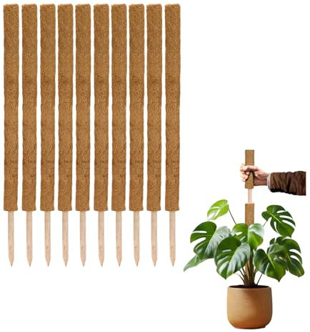 La Cordeline 10 tutores de Plantas trepadoras 90 cm, Soporte de Coco Natural Extensible para Monstera, Plantas jardín casa