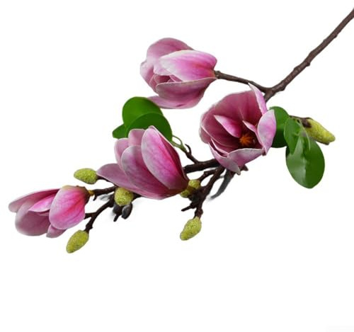 PETSTIBLE Einzelzweig Magnolie Orchidee 4Kopf Magnolie Künstliche Blume Dekoration Weiß Gelb Rosa (Hellviolett)
