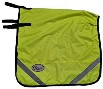 Esposita Reflex Fahrdecke, reflektierend und wasserdicht Cob