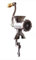 Hand Meat Grinder in Tinned Cast Iron Made in Italy Various Sizes (MOD 8)