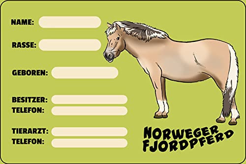 Aus Holz 20x30cm Pony Pferd Namensschild Impfausweis behandelter Arzt Steckbrief Norwegerfjordpferd