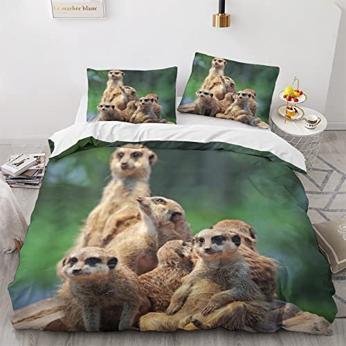 TAKOLI Bettwäsche 135x200 Erdmännchen, Weiche Microfaser Bettwäsche Set 2 teilig, 1 Bettbezug 135x200 & 1 Kissenbezüg 80x80, mit Reißverschluss
