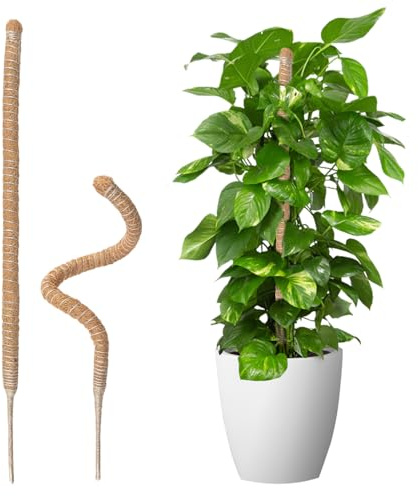 Wigearss Moosstab Monstera 2x70cm, Kokosstab Rankhilfe Kletterpflanzen | 2×70cm Kokosfaser, biegsam, Pflock, inkl. Hanfseil, Aluminiumdraht, Plastikband & Klebeband, Monstera Pothos