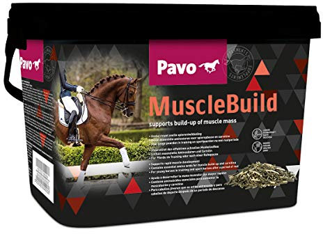 Pavo MuscleBuild | Für ein starkes und muskulöses Pferd | 3 KG