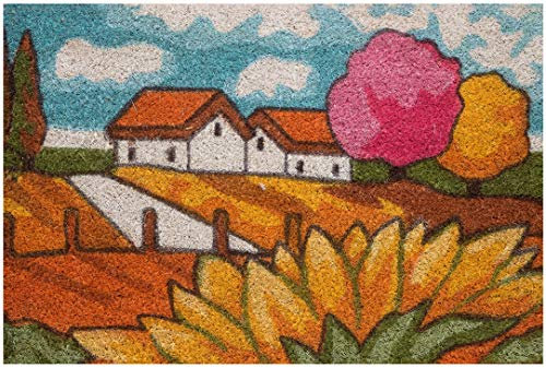 Baroni Home Zerbino da Esterno in Cocco Dipinto a mano con Base in PVC, Tappeto da Esterno Ultraresistente e Facile da Pulire, Villaggio Campagna, 60x40 cm