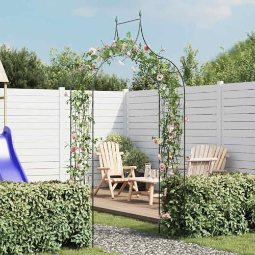 Plantes grimpantes pour maison et jardin, meubles de jardin, arche à piques, vert foncé