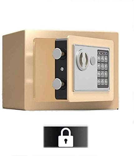 CLSDRZC Feuerfest, wasserdicht, Haus- und Schließfach, Haussicherheit mit Code und Notfall-Überbrückungsschlüsseln, integrierter Alarm, Wand- oder Bodenmontage für Schmuck, Geld, Dokumente für