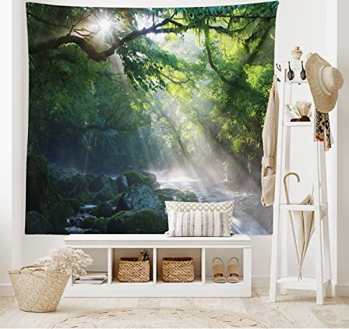 ABAKUHAUS Regenwald Wandteppich, Jungle Sonnenlicht Bäume aus Weiches Mikrofaser Stoff Waschbar ohne Verblassen Digitaldruck, 150 x 110 cm, Grün Weiß