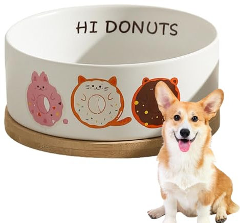 Gamelle d'eau chauffante pour chien et chat – Gamelle thermique d'extérieur en céramique – 35 °C à température constante – Câbles résistants aux morsures