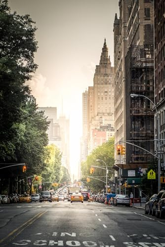 Jigsaw Puzzles For Adults 1000 Piece Central Park West New York City Photo Photograph Cool Wall Art Family Funny Challenging Holiday Puzzles Gift