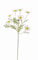 artplants.de Kunstblume Margerite Leonia, weiß, 60cm, Ø 5cm - Künstliche Blumen