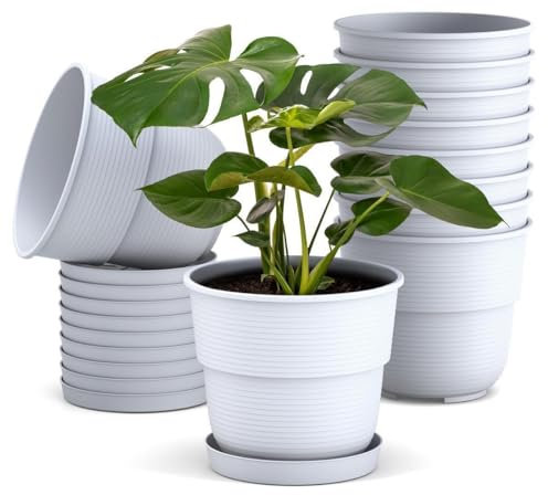 Plastard Blumentöpfe 10er Set 14 cm Durchmesser mit Untersetzer aus Kunststoff Weiß runder Pflanzkübel witterungsbeständiger Übertopf große Blumentöpfe