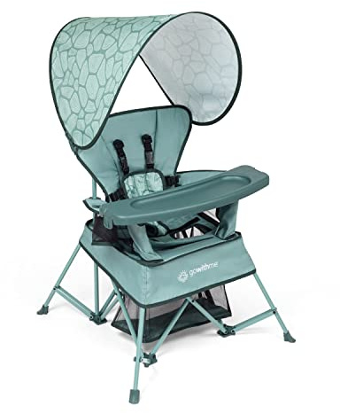 Baby Delight Go with Me Venture Portable Chair | Indoor and Outdoor | Sun Canopy | 3 Child Growth Stages | Garden Green